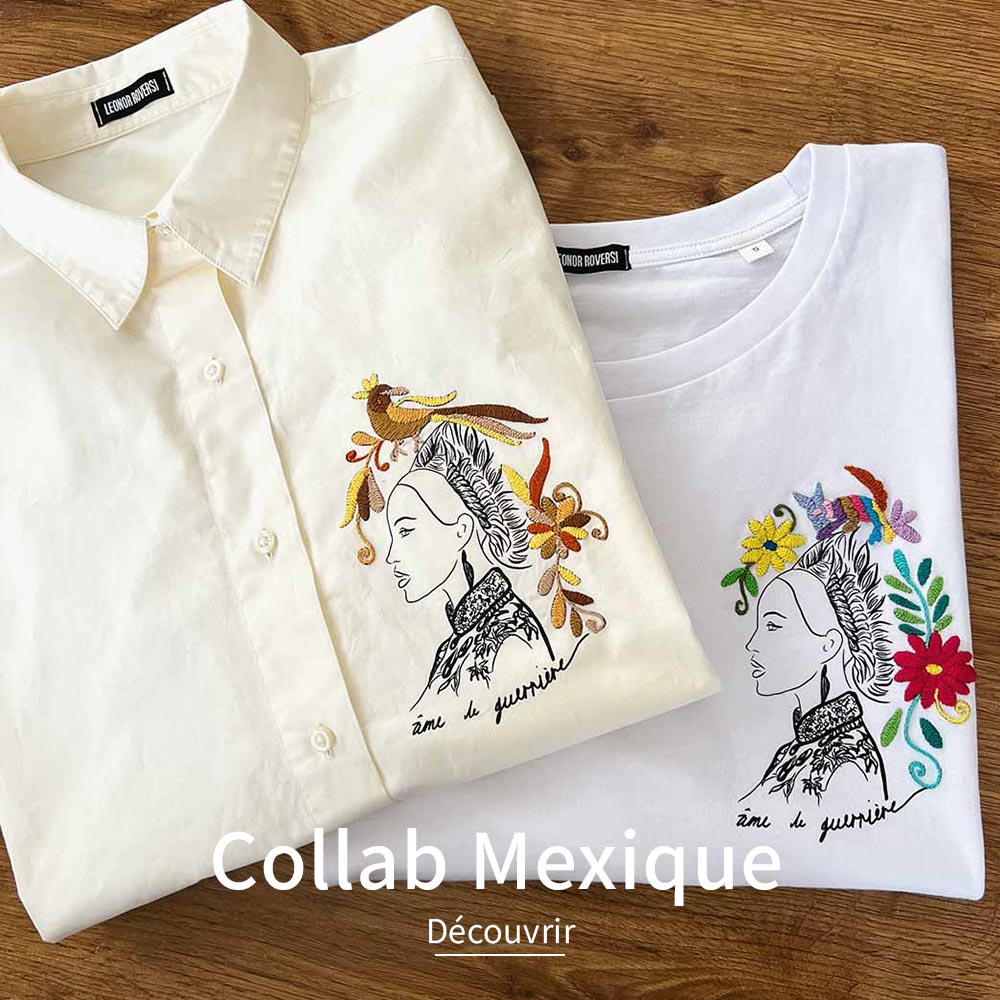 COLLABORATION MEXIQUE